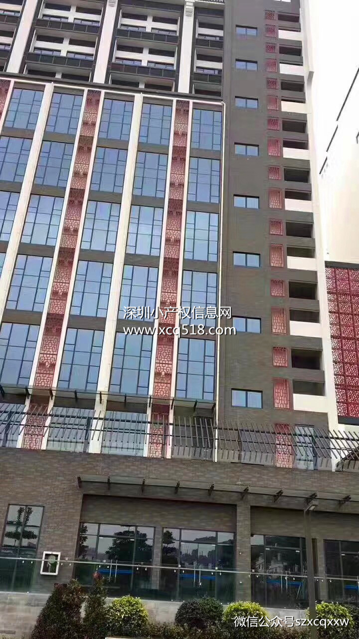 布吉长龙地铁口【银湖公馆】3大栋精装复式公寓出售，买一层送一层
